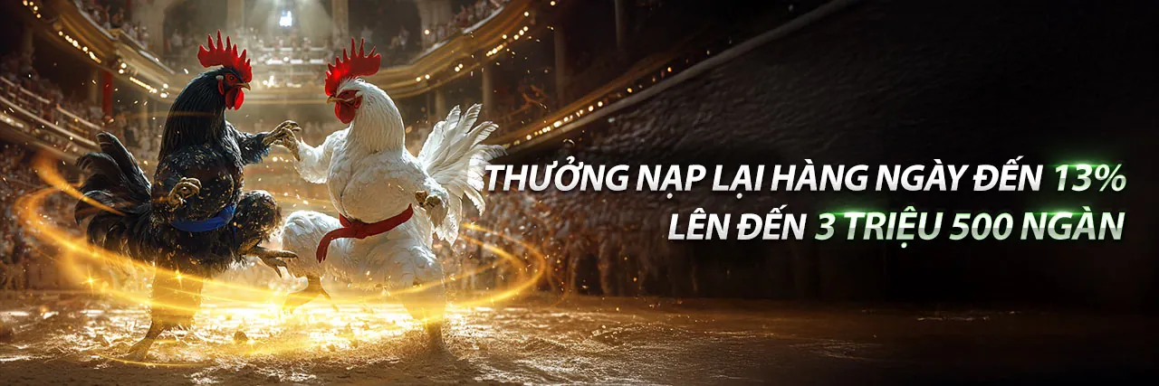 Hình ảnh chính về Cờ Bạc Có Trách Nhiệm tại bq88
